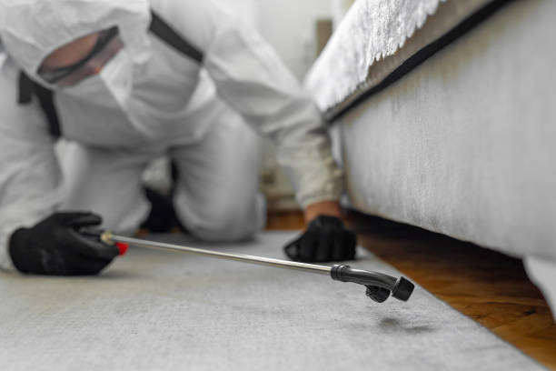 Professional Bed Bug Control technician working in Vandergrift, PA